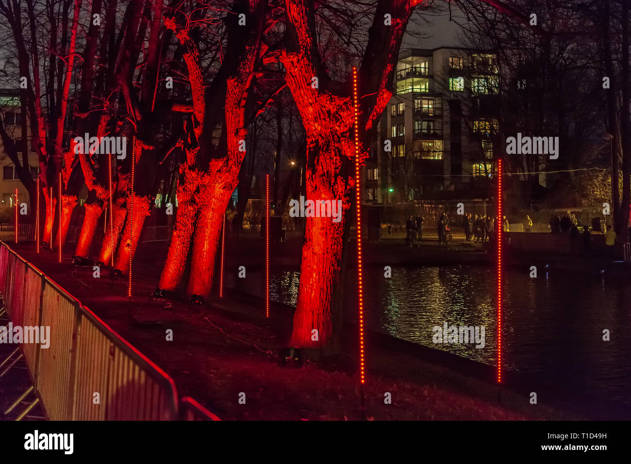 Arbres rouges sur la rive du fleuve illuminé par des feux rouges dans le cadre de la 'Forêt de sensations' installation lors de la fête de la lumière "taro Riga'. Banque D'Images