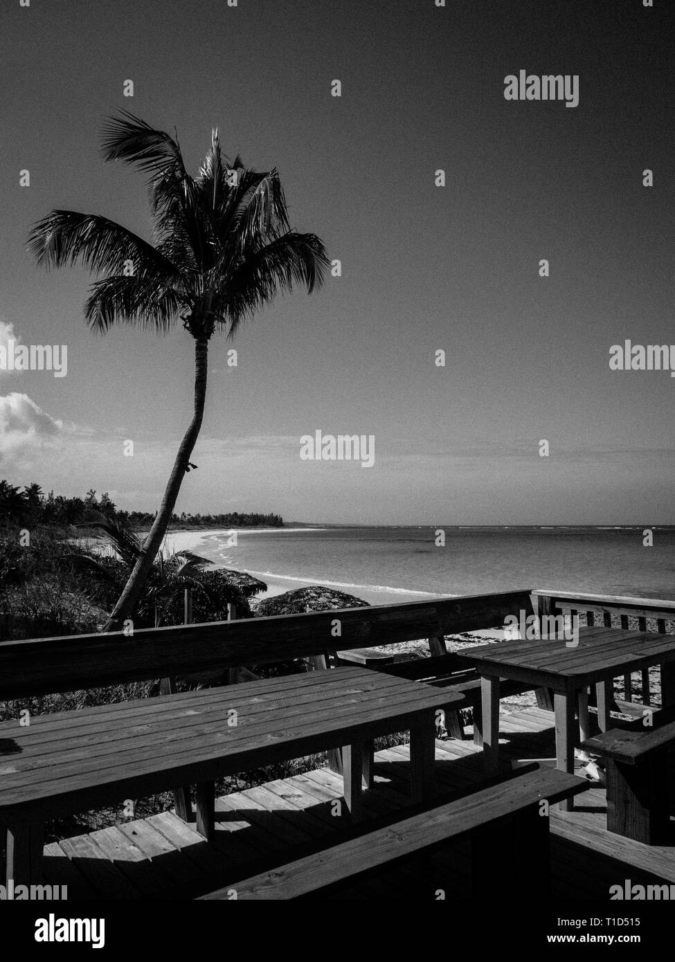 Paysage noir et blanc de littoral, la Tippy et Beachside Bar, North Palmetto Point, Eleuthera, aux Bahamas. Banque D'Images