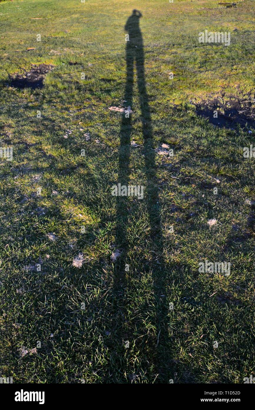 Une très longue de l'ombre sur l'herbe Banque D'Images