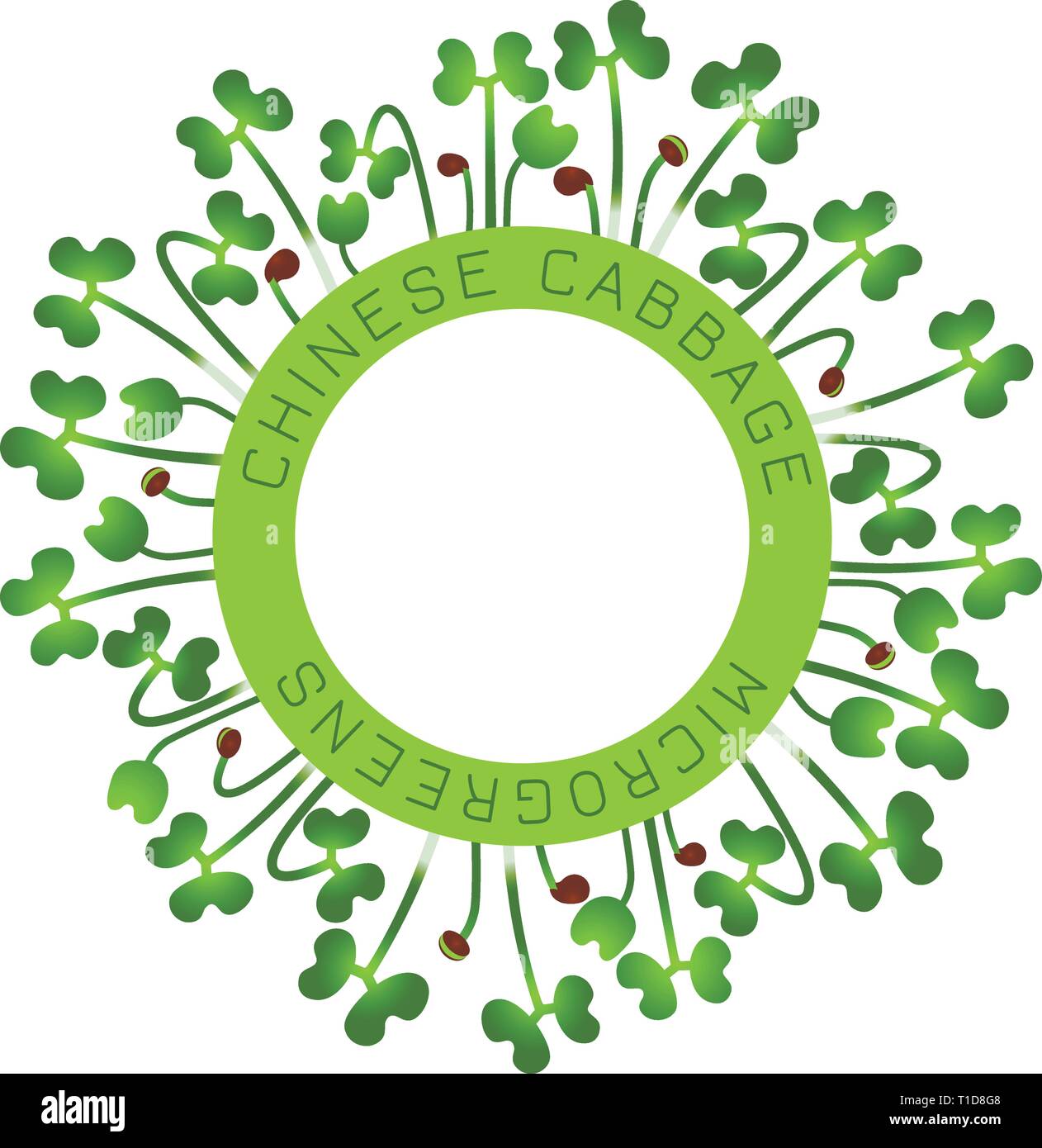 Microgreens chou chinois. La conception des emballages de semences, l'élément rond au centre. Autour de lui les germes. Supplément de vitamines, de nourriture vegan Illustration de Vecteur