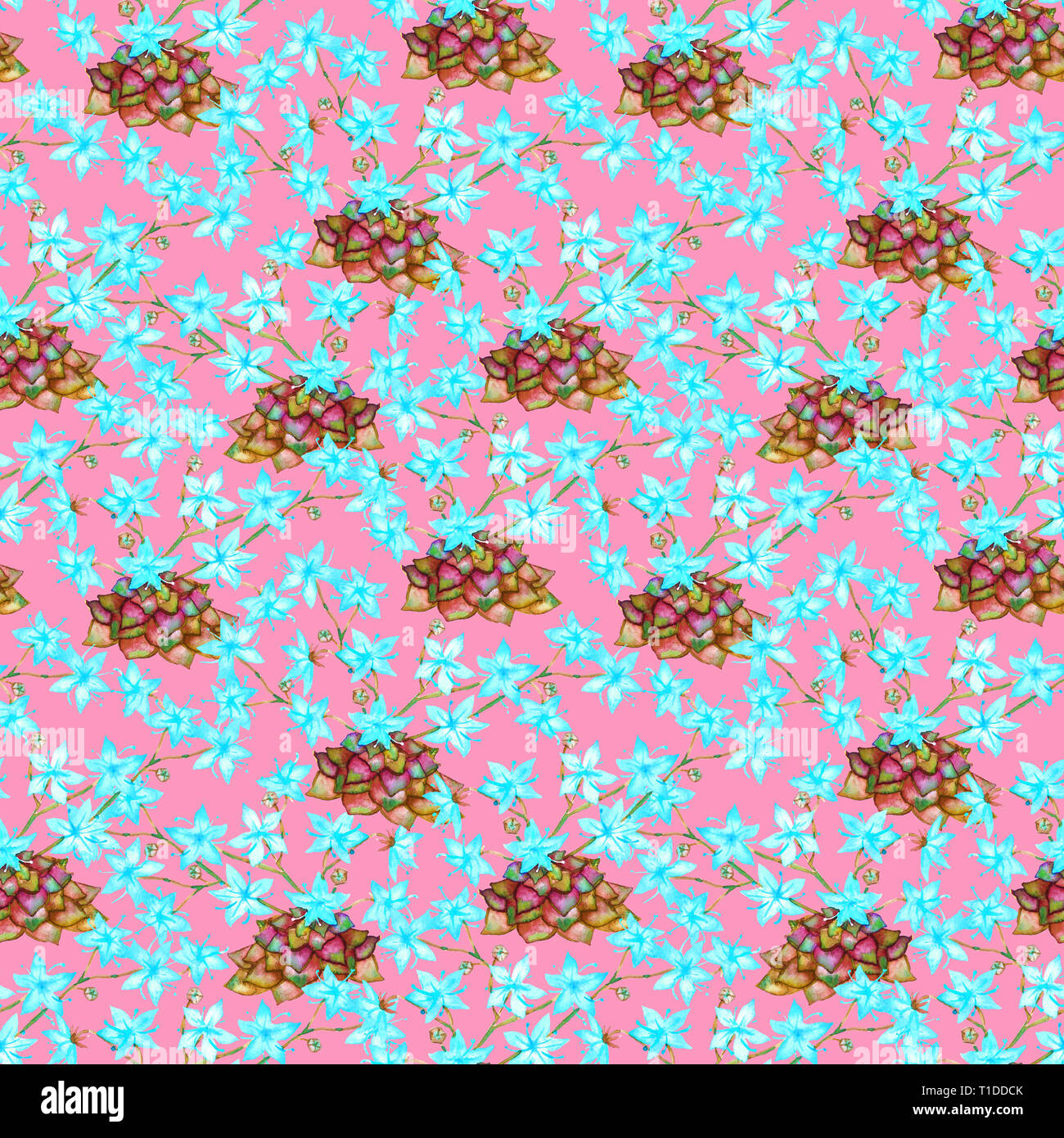 Les plantes succulentes jaune à fleurs bleues, direct pattern design, illustration aquarelle peinte à la main, sur fond rose doux Banque D'Images