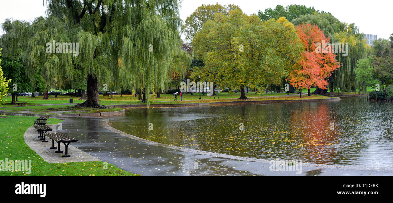 Pluie d'automne dans le Jardin Public de Boston. Sentier du Parc, un étang et un terrain magnifique Banque D'Images