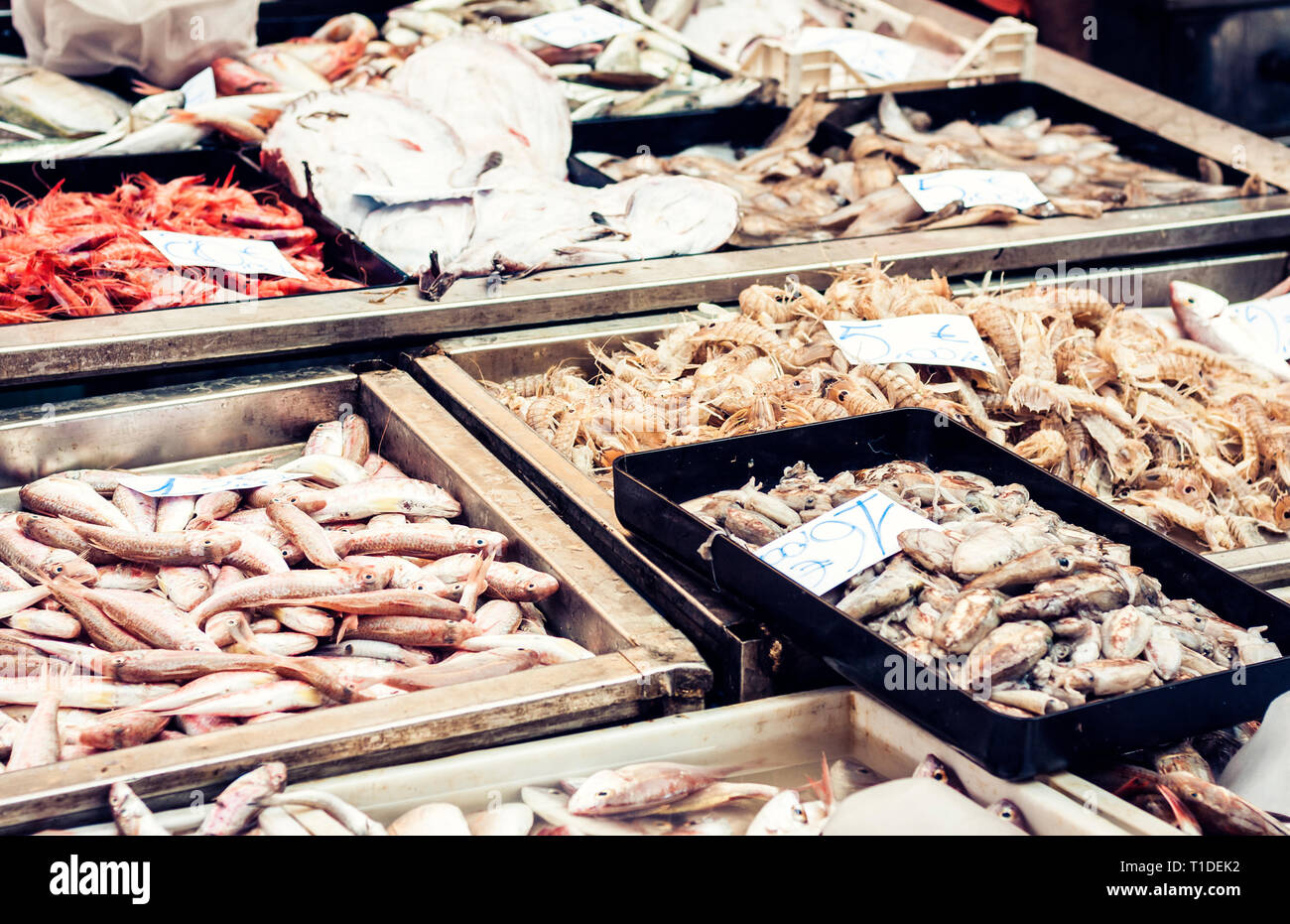 Poisson frais et fruits de mer en vente dans le marché aux poissons de Catane, Sicile, Italie Banque D'Images