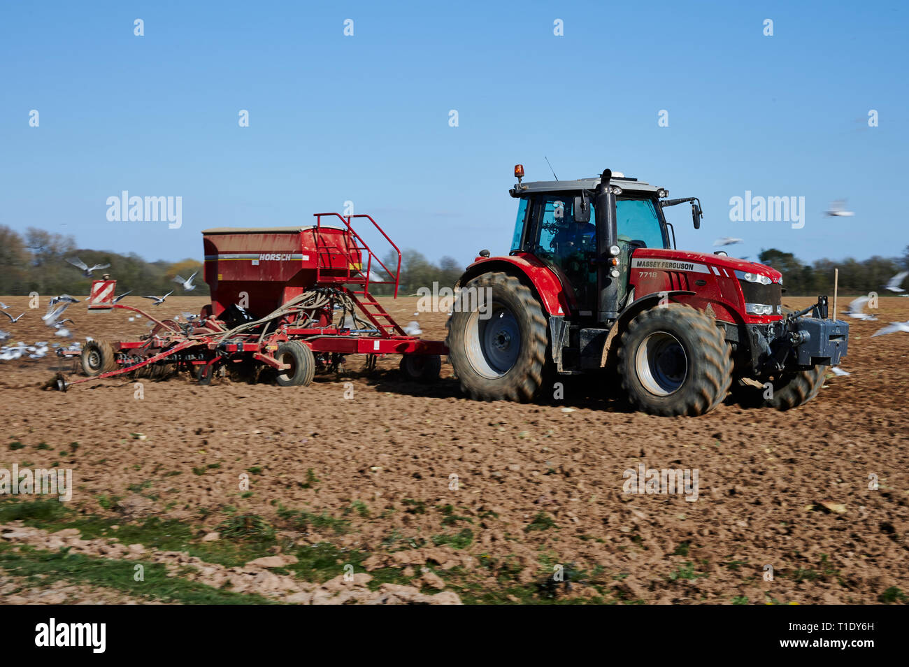 Restored Massey Ferguson Tractor Banque D Image Et Photos Alamy