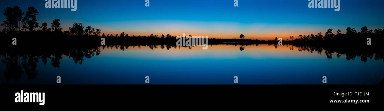 Panorama pris après le coucher du soleil d'une réflexion parfaitement immobile en sous-bois de pin Lake dans le parc national des Everglades. Banque D'Images