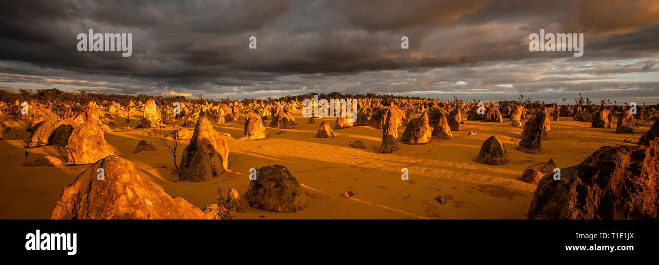 Les Pinnacles, Australie de l'Ouest Banque D'Images