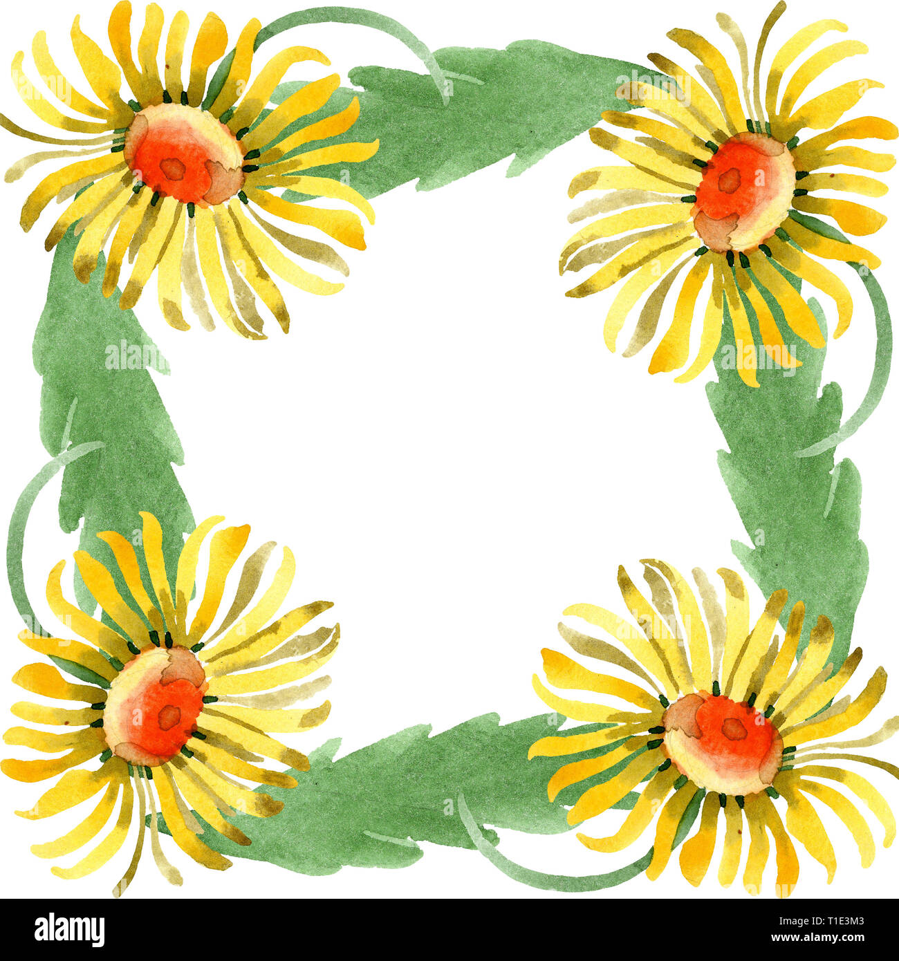 Marguerite jaune fleurs botanique floral. Contexte aquarelle illustration set. Bordure de cadre carré ornement. Banque D'Images