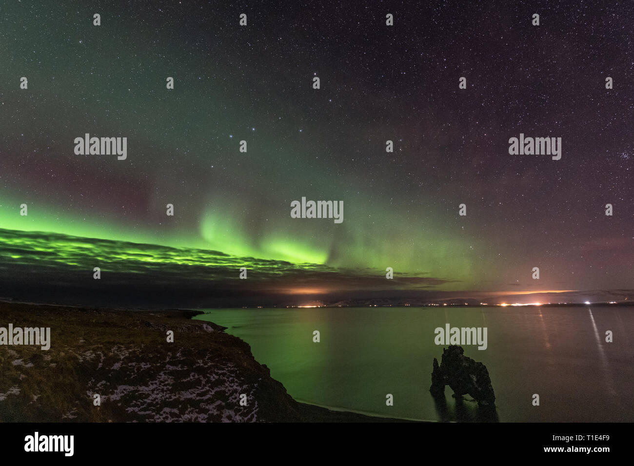 Northern Lights sur Hvitserkur, Islande Banque D'Images