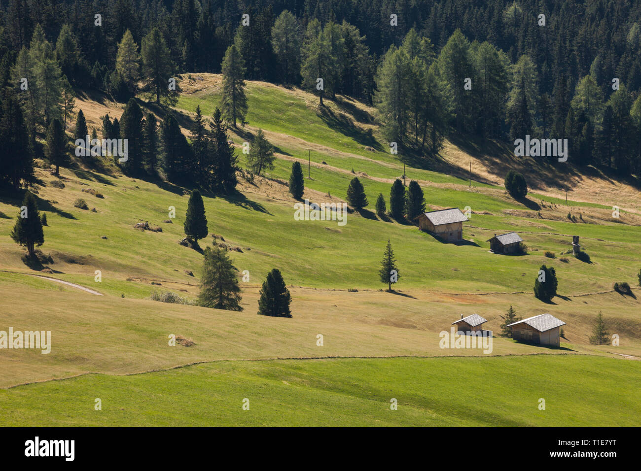 Ancienne grange dans un pâturage à Val di Funes en automne Banque D'Images