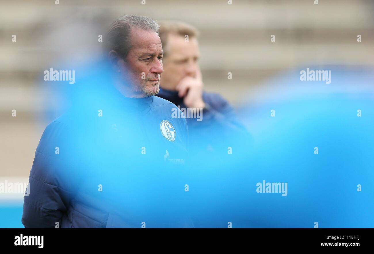 Gelsenkirchen, Allemagne. 26 Mar, 2019. firo : 26.03.2019, football, 1.Bundesliga, la saison 2018/2019, le FC Schalke 04, la formation, l'entraîneur Huub STEVENS, à gauche avec le co-entraîneur Mike BUSKENS | Conditions de crédit dans le monde entier : dpa/Alamy Live News Banque D'Images