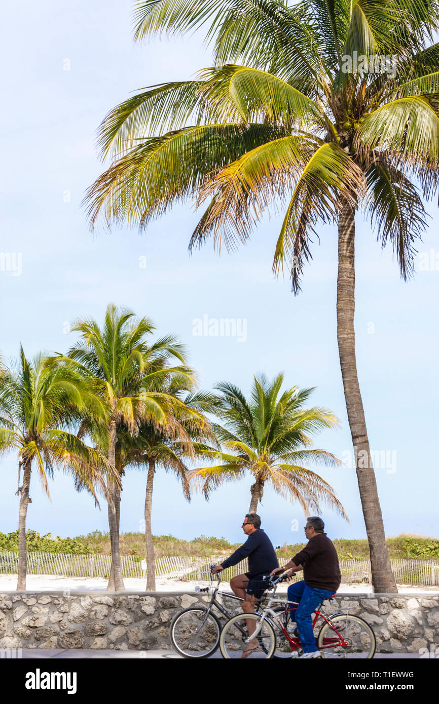 Miami Beach Florida,Lummus Park,sentier,adulte homme hommes,vélo,vélos,cococotiers palmiers,mur de corail,accès plages,dunes,pas de casque, Banque D'Images