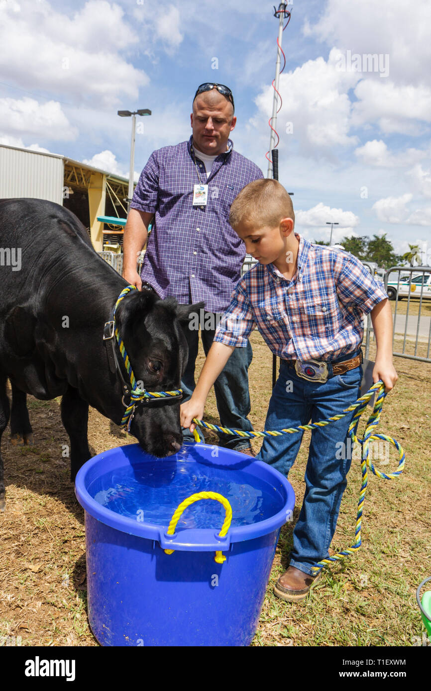 Miami Florida, Kendall, Tropical Park, Miami International Agriculture & Cattle Show, élevage, commerce du bétail, industrie agroalimentaire, homme hommes hommes, garçons, enfant Banque D'Images