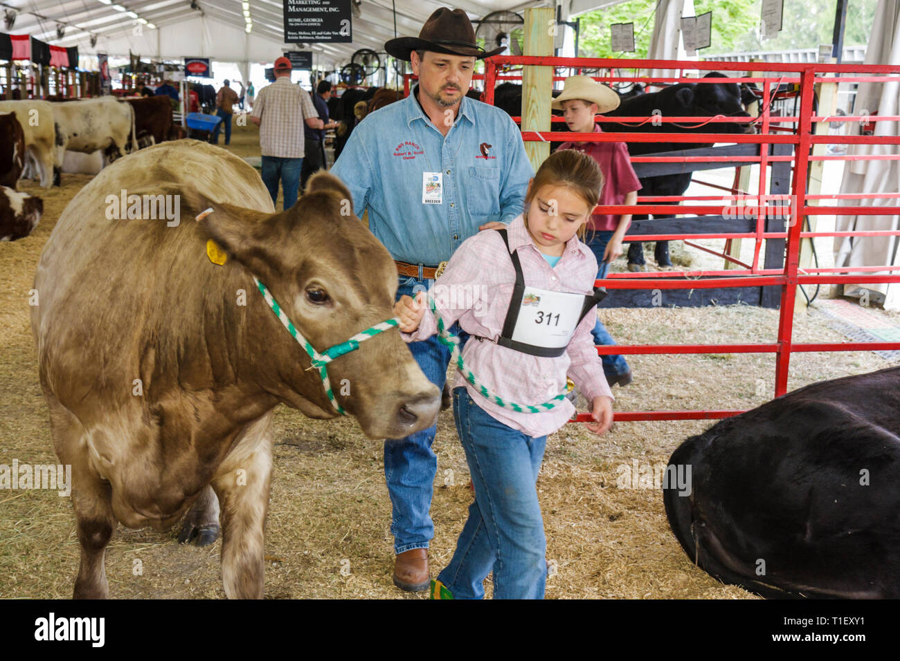 Miami Florida,Kendall,Tropical Park,Miami International Agriculture & Cattle Show,élevage,commerce du bétail,industrie agroalimentaire,homme hommes,père,parent pa Banque D'Images