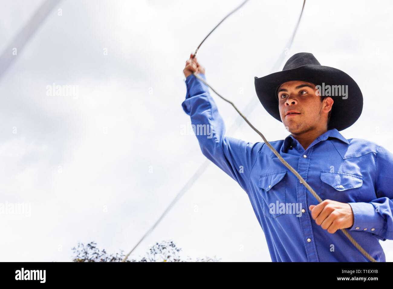 Miami Florida,Kendall,Tropical Park,Miami International Agriculture and Cattle Show,élevage