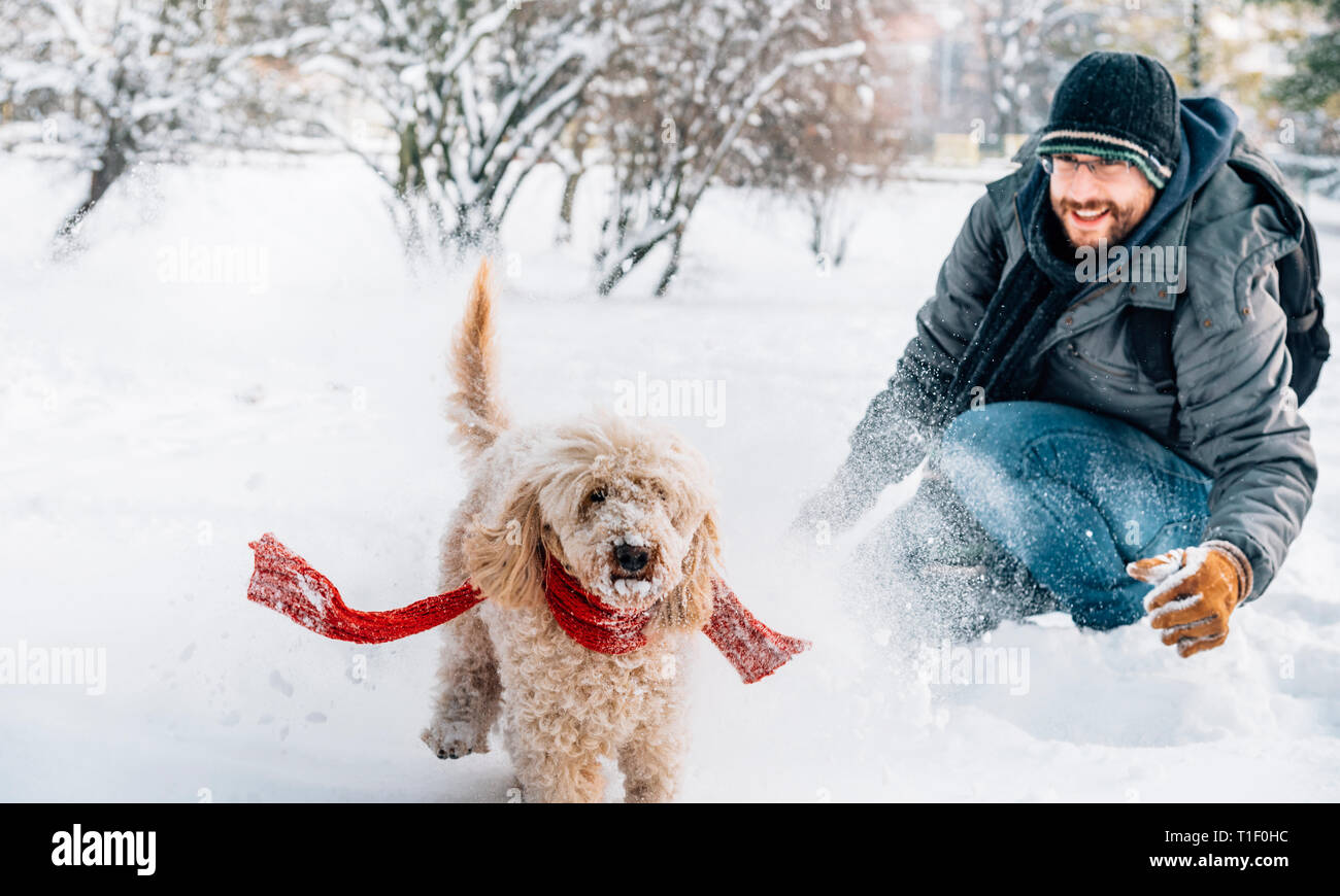 Snowball fight fun avec l'animal et son propriétaire dans la neige. Maison de vacances d'hiver de l'émotion. Flaque mignon le chien et l'homme de jouer et courir dans la forêt. Filtre Film Banque D'Images