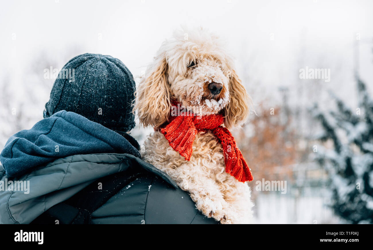 Heureux animal de compagnie et son propriétaire dans la neige en hiver, saison de vacances. Maison de vacances d'hiver de l'émotion. Man holding cute flaque chien avec écharpe rouge. Film filt Banque D'Images