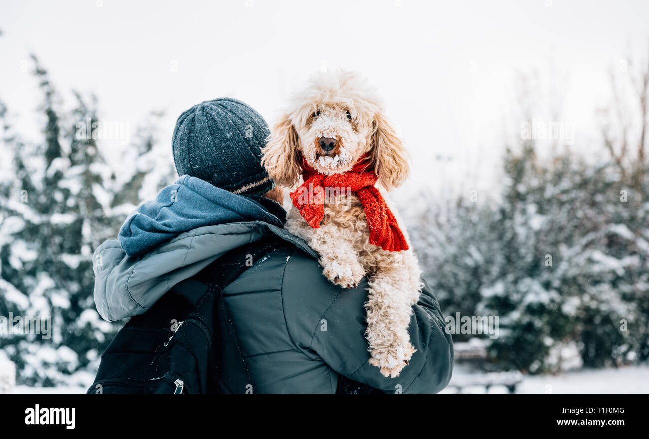 Heureux animal de compagnie et son propriétaire dans la neige en hiver, saison de vacances. Maison de vacances d'hiver de l'émotion. Man holding cute flaque chien avec écharpe rouge. Film filt Banque D'Images