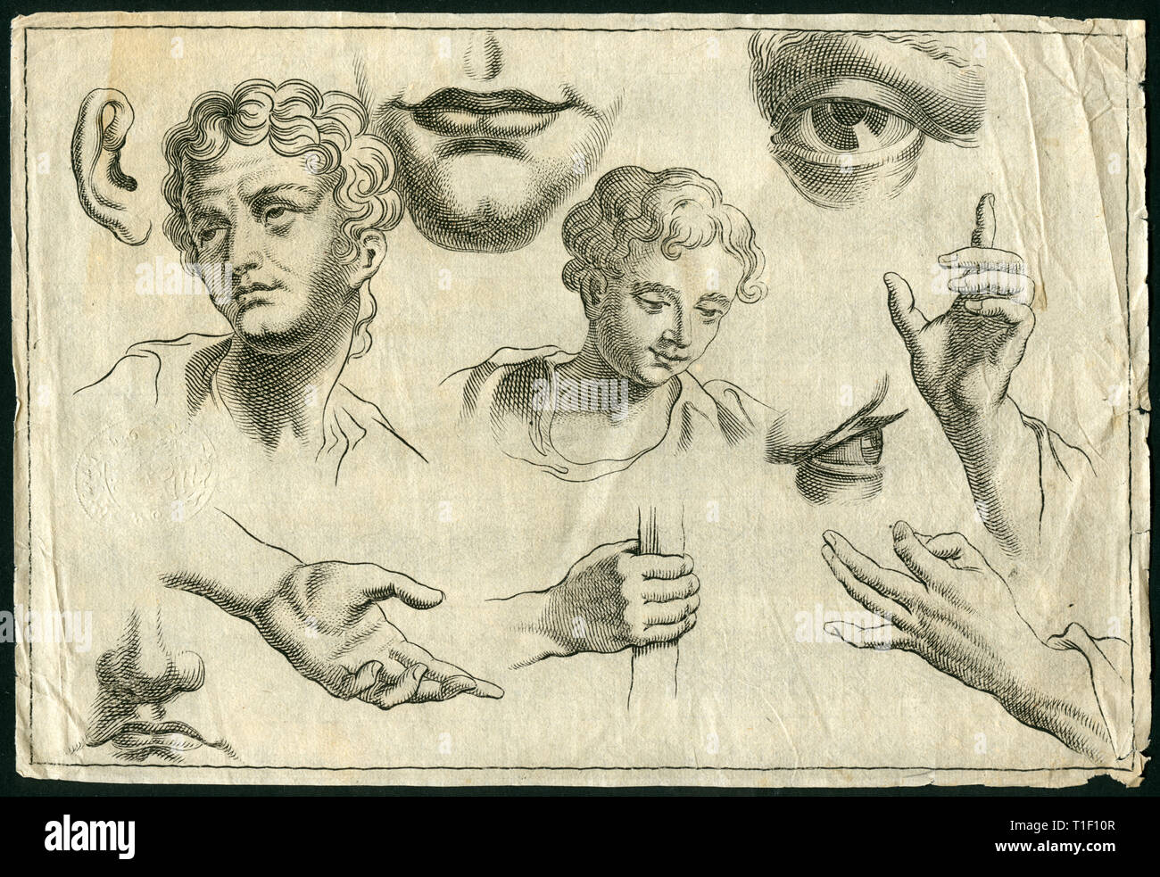 Dimensions historiques de parties du corps, tête, yeux, bouche, menton et part, la gravure sur cuivre de 1700., l'artiste n'a pas d'auteur pour être effacé Banque D'Images