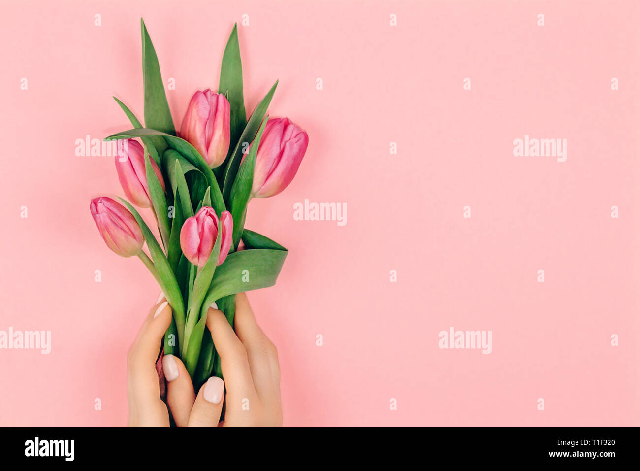 Printemps à la manucure. Femmes avec nail design sur fond rose fleurs tulipe rose holding. Copier l'espace. Banque D'Images