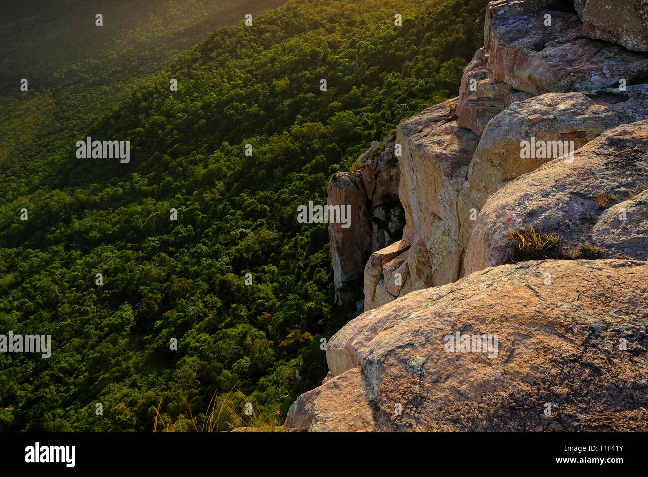 Mt Stuart Sommet, Townsville, Queensland, Australie Banque D'Images