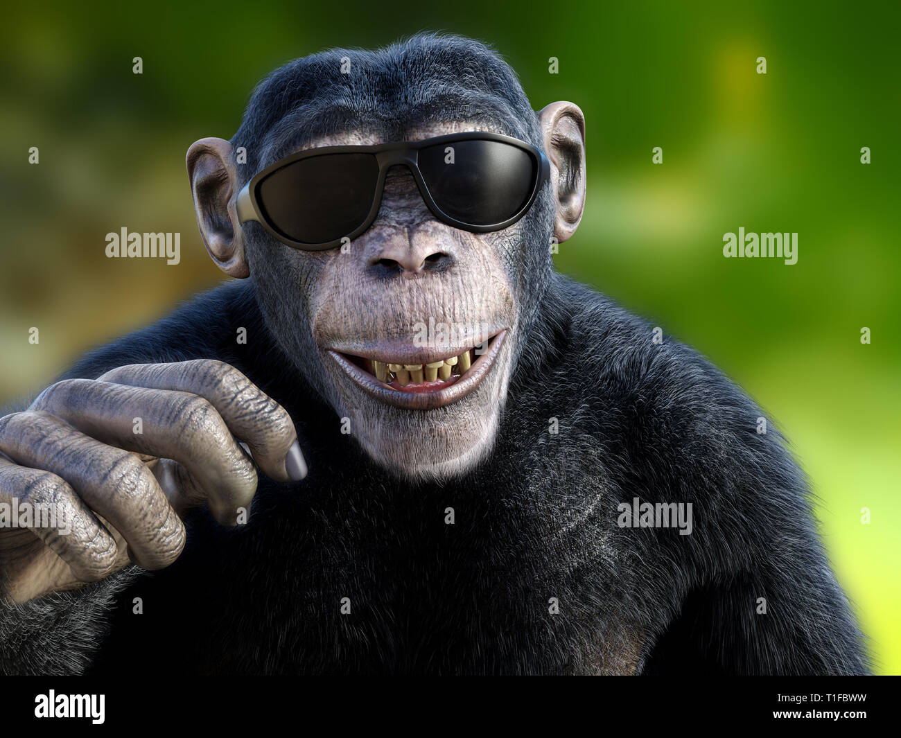 Monkey with sunglasses Banque de photographies et d'images à haute  résolution - Alamy