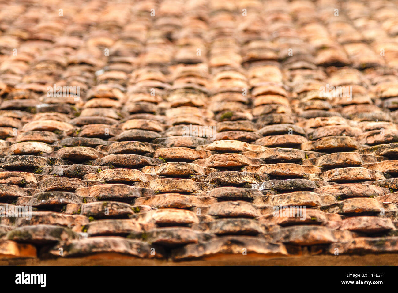 Des tuiles en terre cuite à Ninh Binh, Vietnam du Nord. L'arrière-plan. Banque D'Images