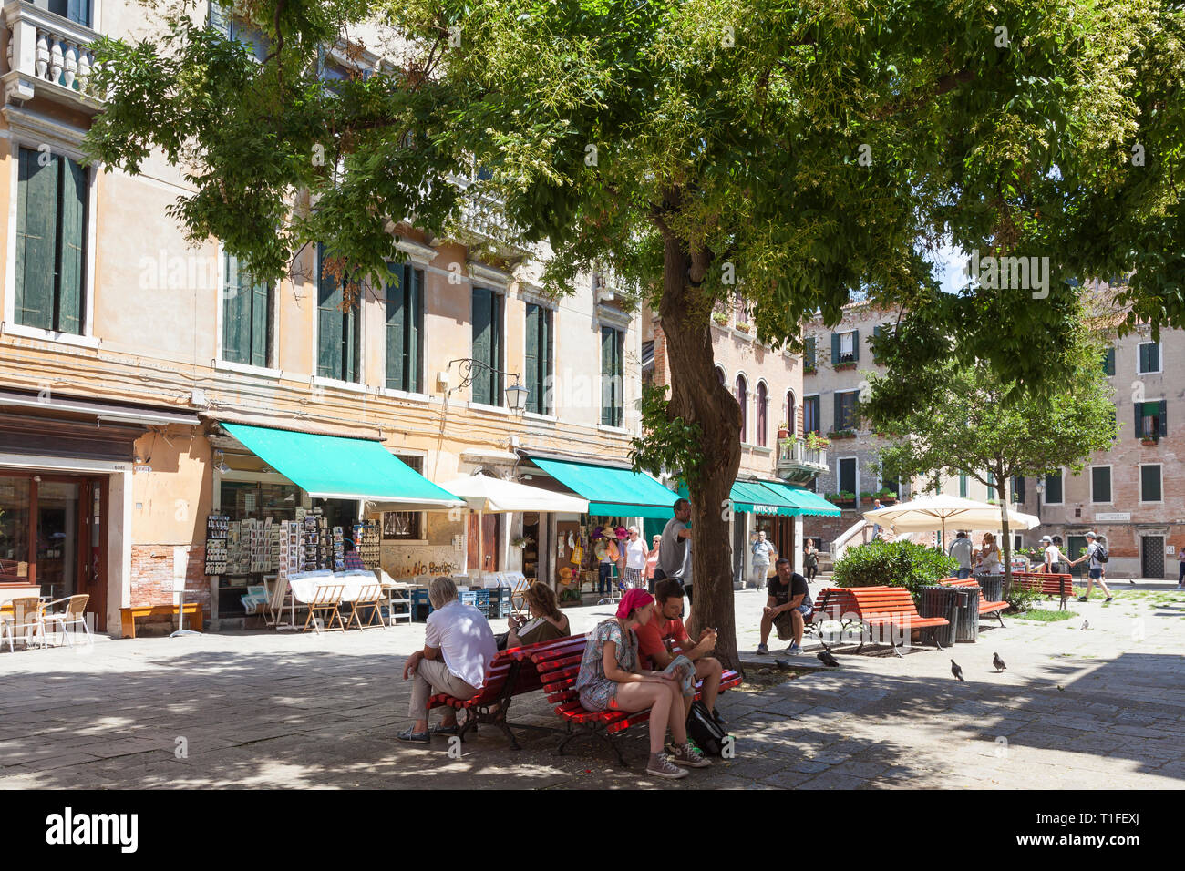 Des gens assis sur des bancs à l'ombre d'un arbre vert sur une chaude journée au printemps, le Campo Santa Maria Nova, Cannaregion, Venise, Vénétie, Italie Banque D'Images