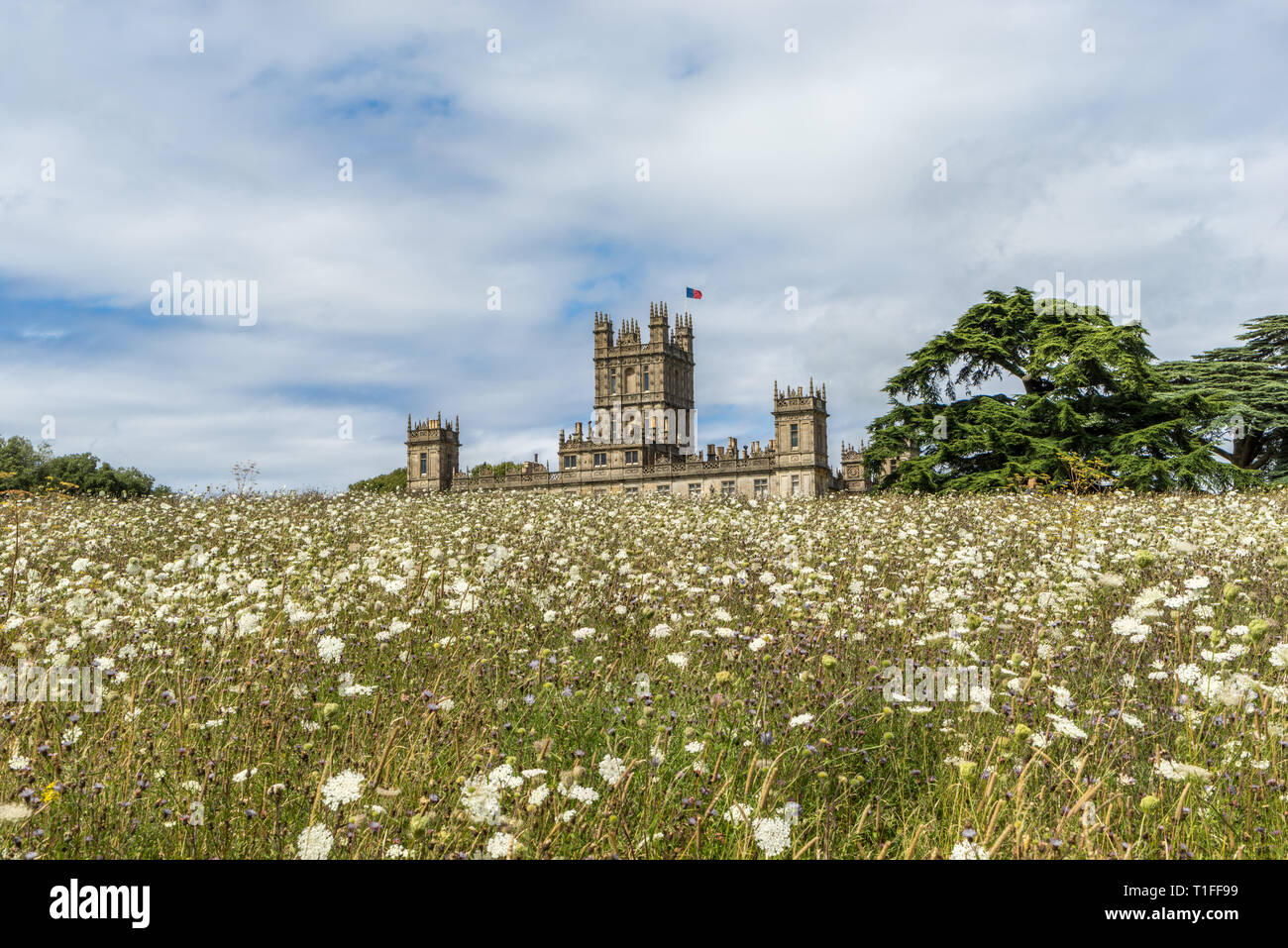 Château de Highclere avec Wild Flower Meadow, lieu de tournage pour Downton Abbey, Newbury, Hampshire, Royaume-Uni Banque D'Images