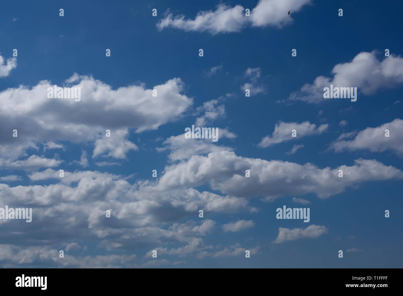 Les nuages blancs avec un beau ciel bleu en arrière-plan. Banque D'Images