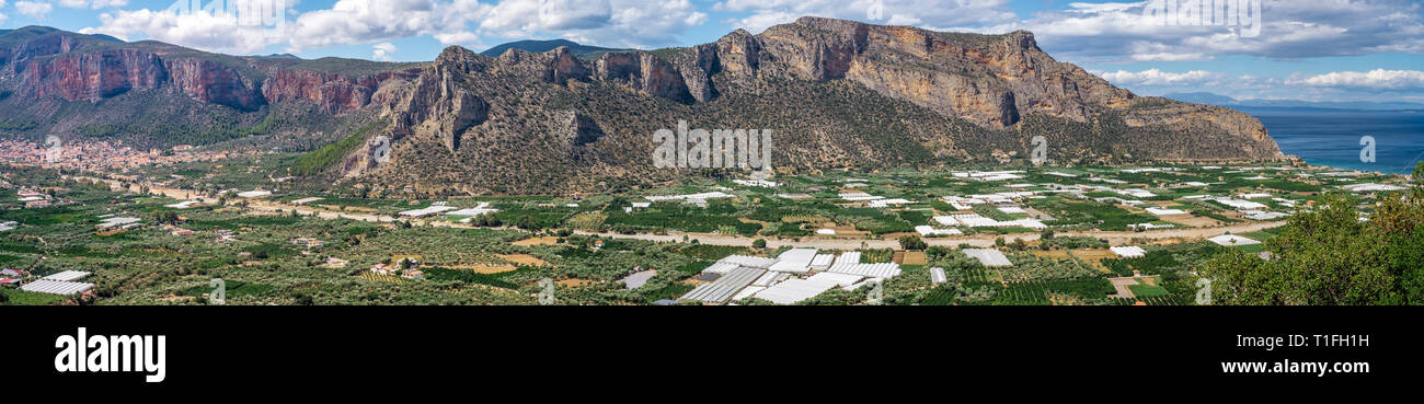 Les serres et les champs cultivés par la mer. Leonidios Péloponnèse, Grèce. Banque D'Images