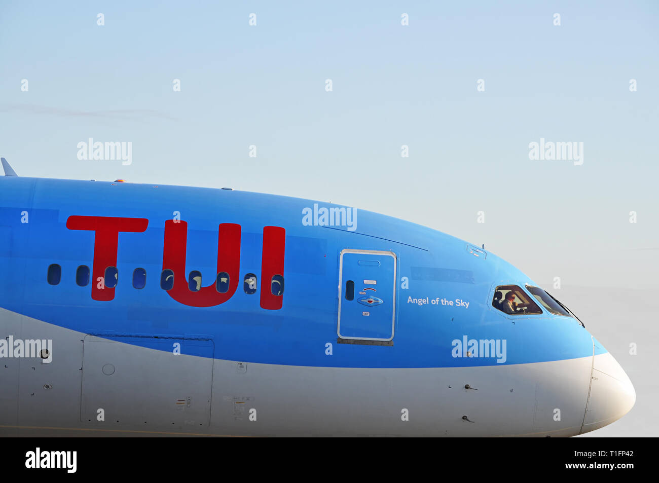 L'aéroport de Manchester, Royaume-Uni - 8 janvier 2018 : TUI Boeing 787-8 MSN 36424 G-TUID préparer pour le décollage. Banque D'Images