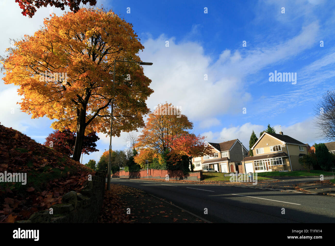 Maisons de Stourbridge/Paysage, Dudley, Angleterre Banque D'Images