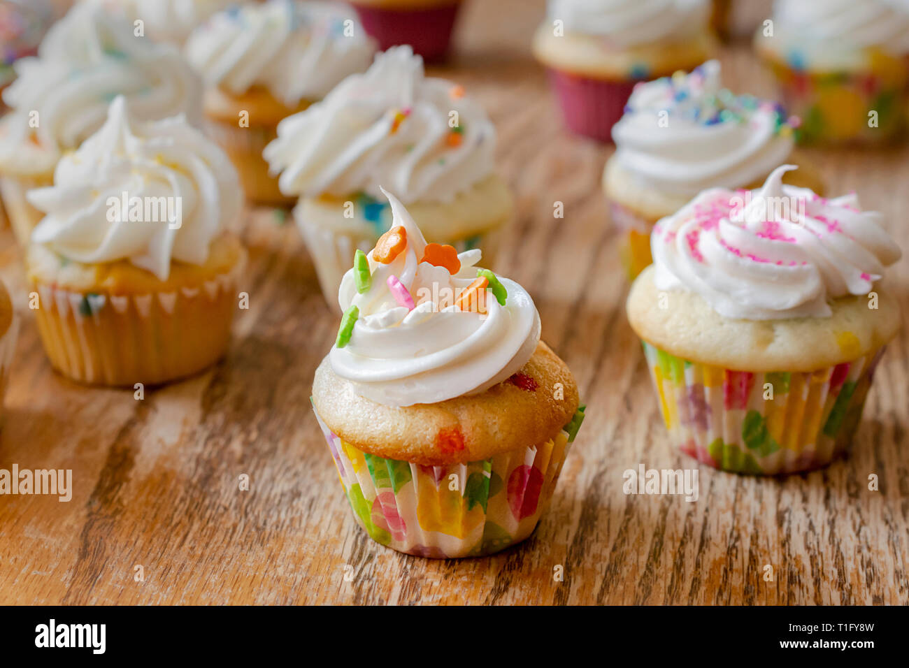 Divers mini cupcakes décorés dans des couleurs du printemps et de Pâques. Arrière-plan d'une table de bois brut. Banque D'Images