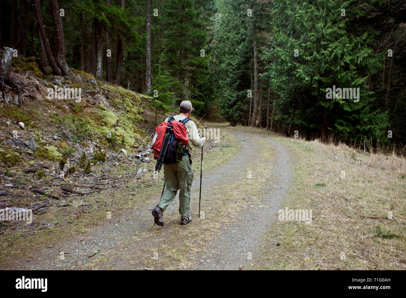 WA06511-00...WASHINGTON - Greg Vaughn randonnées le sentier de montagne Turtleback sur Orcas Island. Banque D'Images