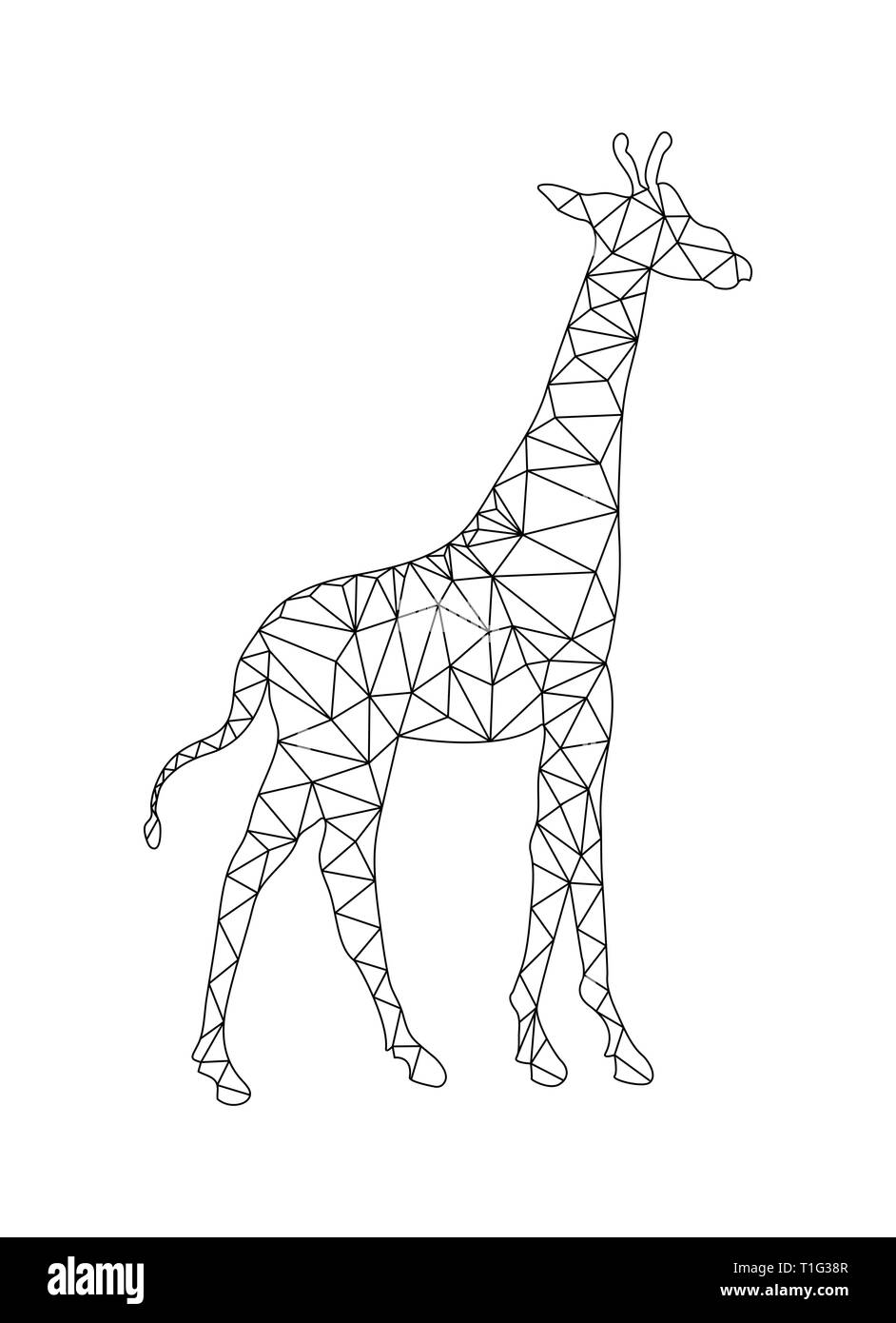 Silhouette D Une Girafe A La Couleur Dans Le Style Polygone Pour Enfants Et Adultes Image Vectorielle Stock Alamy Silhouette D Une Girafe A La Couleur Dans Le Style Polygone Pour Enfants Et Adultes Image Vectorielle Stock Alamy