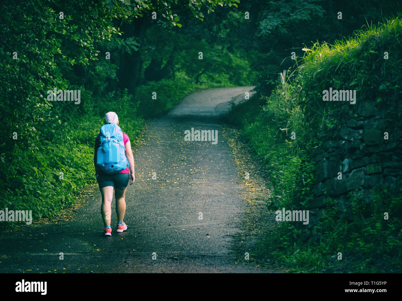 Femme marche sur Camino de Santiago Banque D'Images