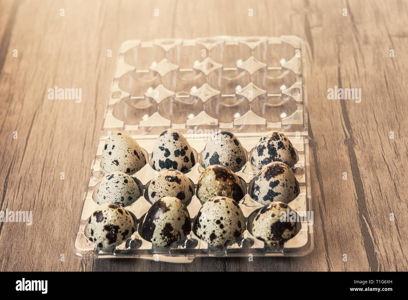 Des oeufs de cailles dans un contenant de plastique sur fond de bois brun. Banque D'Images