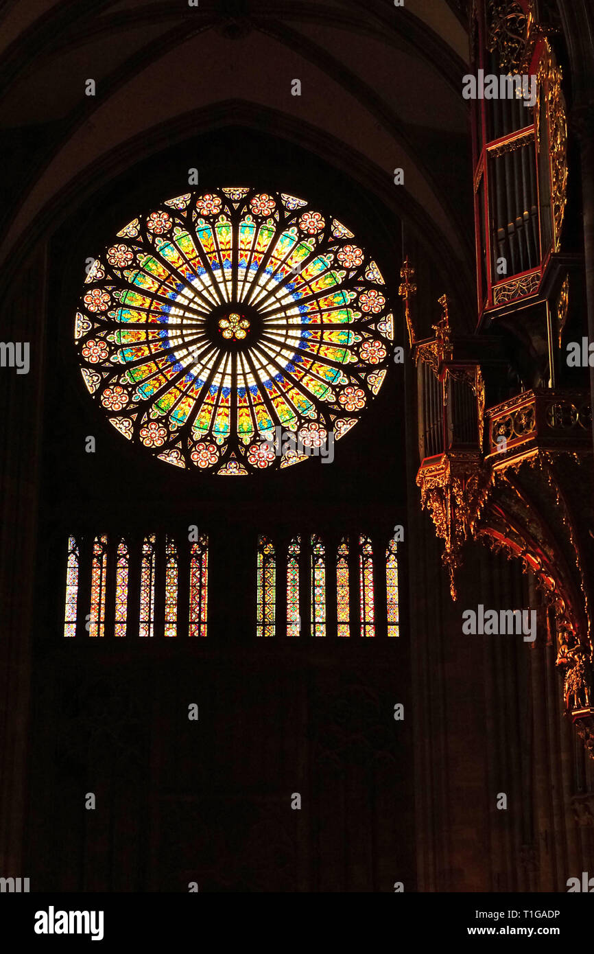 Rosette et d'orgue dans la cathédrale de Strasbourg Banque D'Images