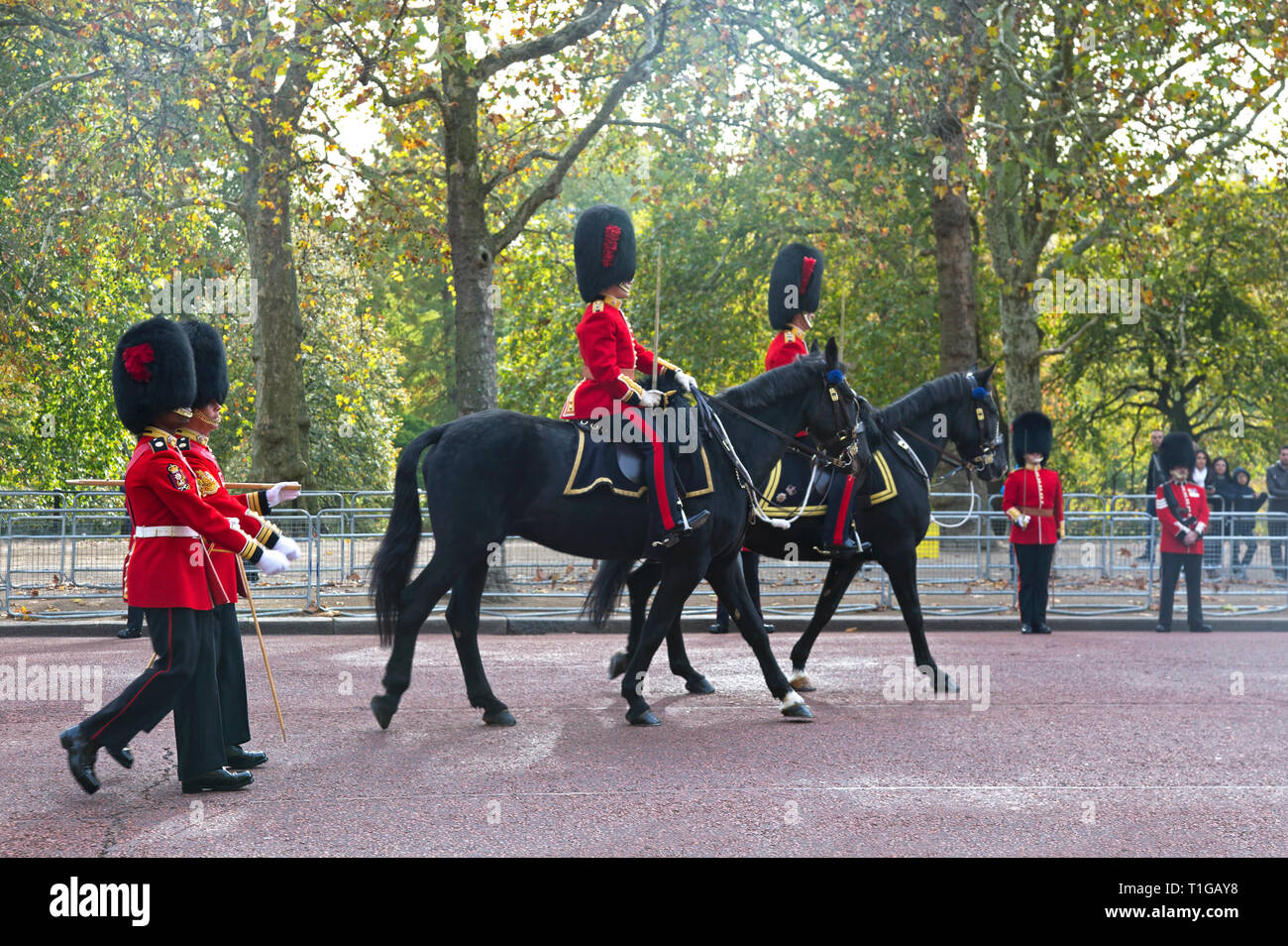 Les gardes du palais de Buckingham lors de la traditionnelle cérémonie