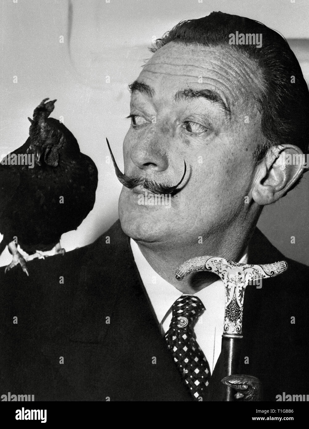 L'artiste surréaliste espagnol Salvador Dali avec coq, circa (1955) #  de référence du fichier 1003 828THA Banque D'Images