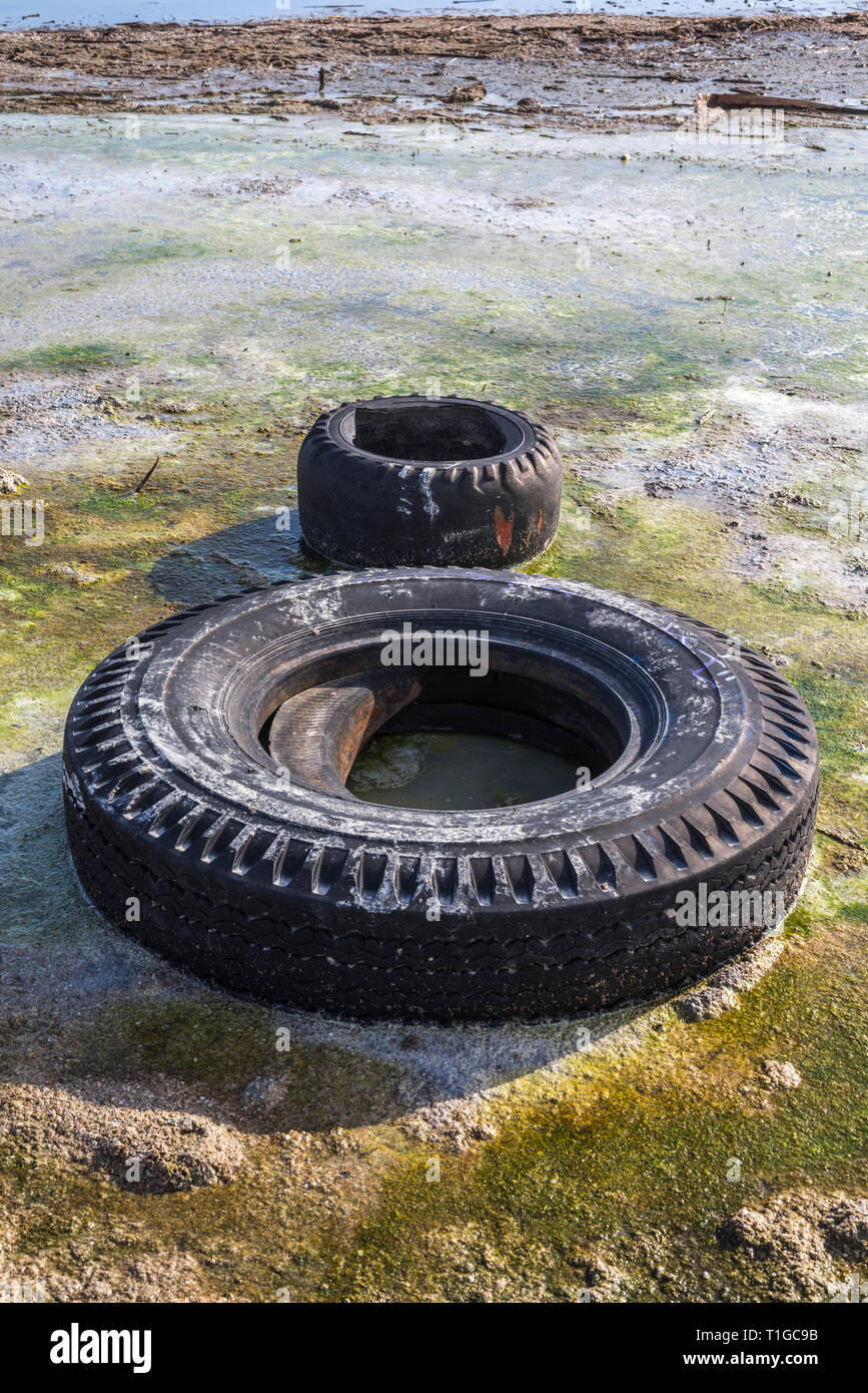 Deux pneus abandonnés sur le rivage. La mer de Salton, Imperial County, Californie, USA. Banque D'Images