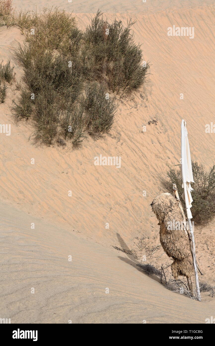 Creux entre les dunes-drapeaux votifs-le mausolée mazar de l'Imam Asim-le désert de Taklakan. Hogan-Xingjiang-Chine-0057 Banque D'Images