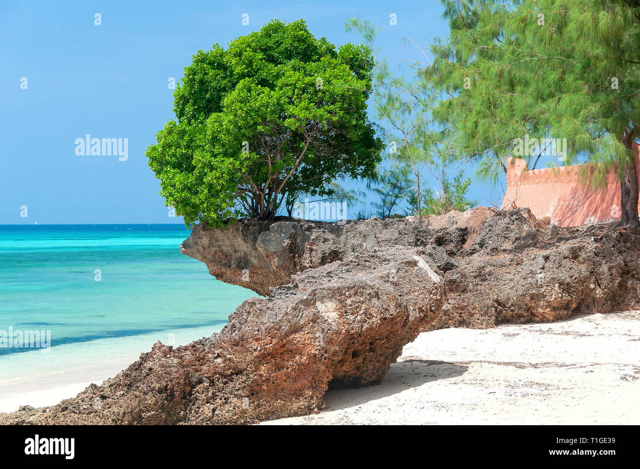 Vue sur mer et plage tropicale de Zanzibar - l'île de Prison - Afrique - Océan Indien Banque D'Images