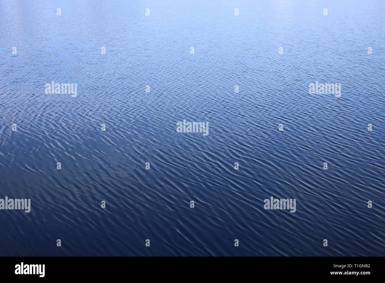 La texture des vagues d'une mer. Belle ombre surface de couleur bleu clair et foncé comprend. Belle nature beau fonds connexes. Image couleur. Banque D'Images