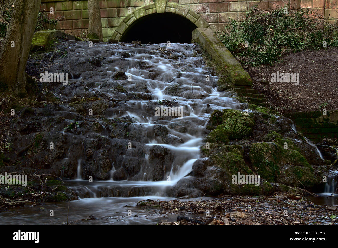 Petit ruisseau Cascade à Baggaridge Coountry Park, South Staffordshire. Banque D'Images