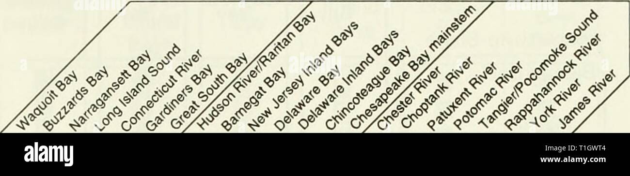 Distribution et l'abondance de poissons répartition et l'abondance de poissons et d'invertébrés dans les estuaires de l'Atlantique mi- distributionabun00unit Année : 1994 Tableau 6. Indice de fiabilité des données au tableau 6. La page Emplacement de la fiabilité des données le tableau pour chaque espèce et de l'estuaire. Moule bleue Mytilus {eduli iiradians {pétoncles Baie Argopecten) L'huître américaine (Crassostrea virginica) Mercenaha {quahog nordique mercenaria) la mye (Mya arenaria) crevette (Penaeus aztecus) p. 158 p. 159 p. 160 Daggerblade crevette Palaemonetes pugio) {Sevensplne septemsplnosa les crevettes de la baie (Crangon) American lobs Banque D'Images