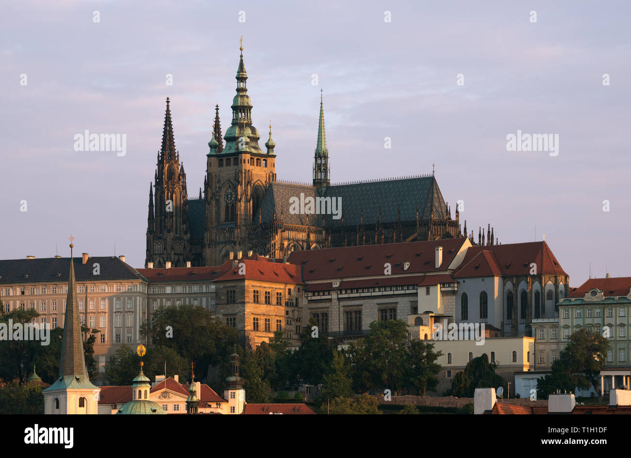 Prague : la cathédrale St Vitus à matin Banque D'Images