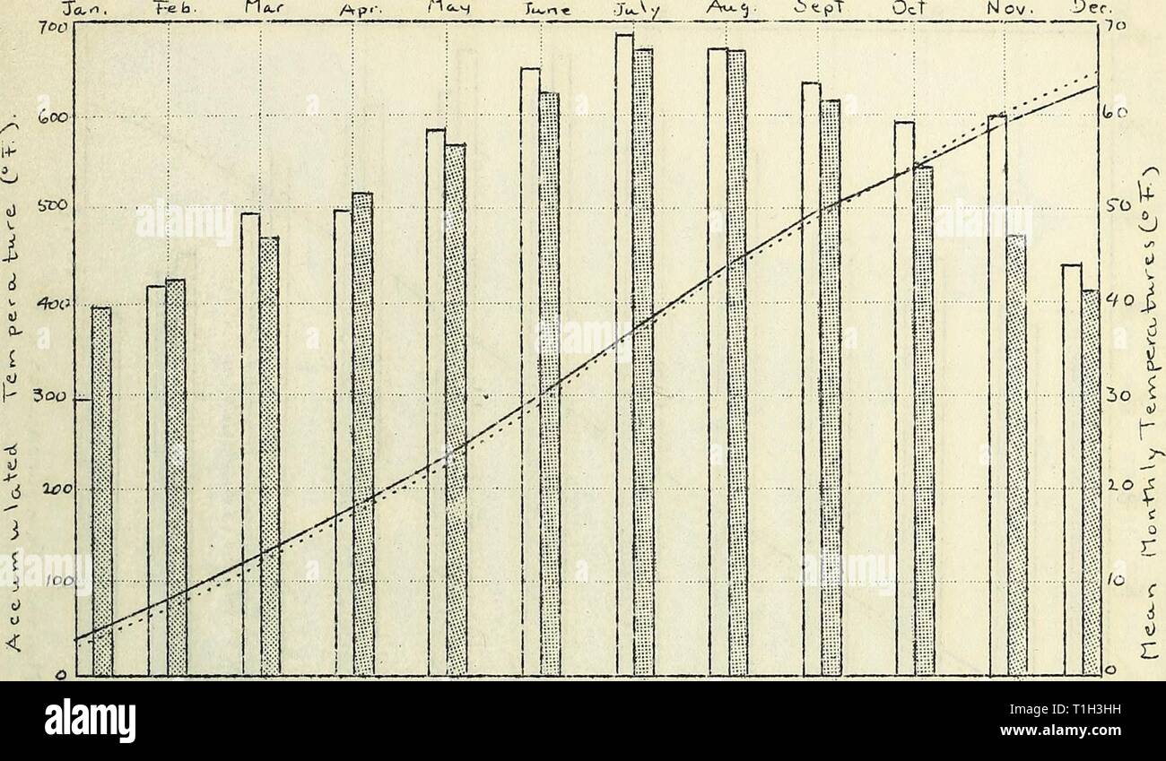 Les maladies des plantes dans les maladies des plantes aux États-Unis en 1937 diseasesofplants110bois Année : 1939 167 PORTLAND, OREGON Nl ov • déc. Fig. 17. La température accumulée en degrés F. à Portland (Oregon) pour l'année i937 (ligne pointillée) par rapport Y;ie normale (ligne pleine), et les températures mensuelles moyennes (bars) par rapport à la normale (bars ombragés). Banque D'Images