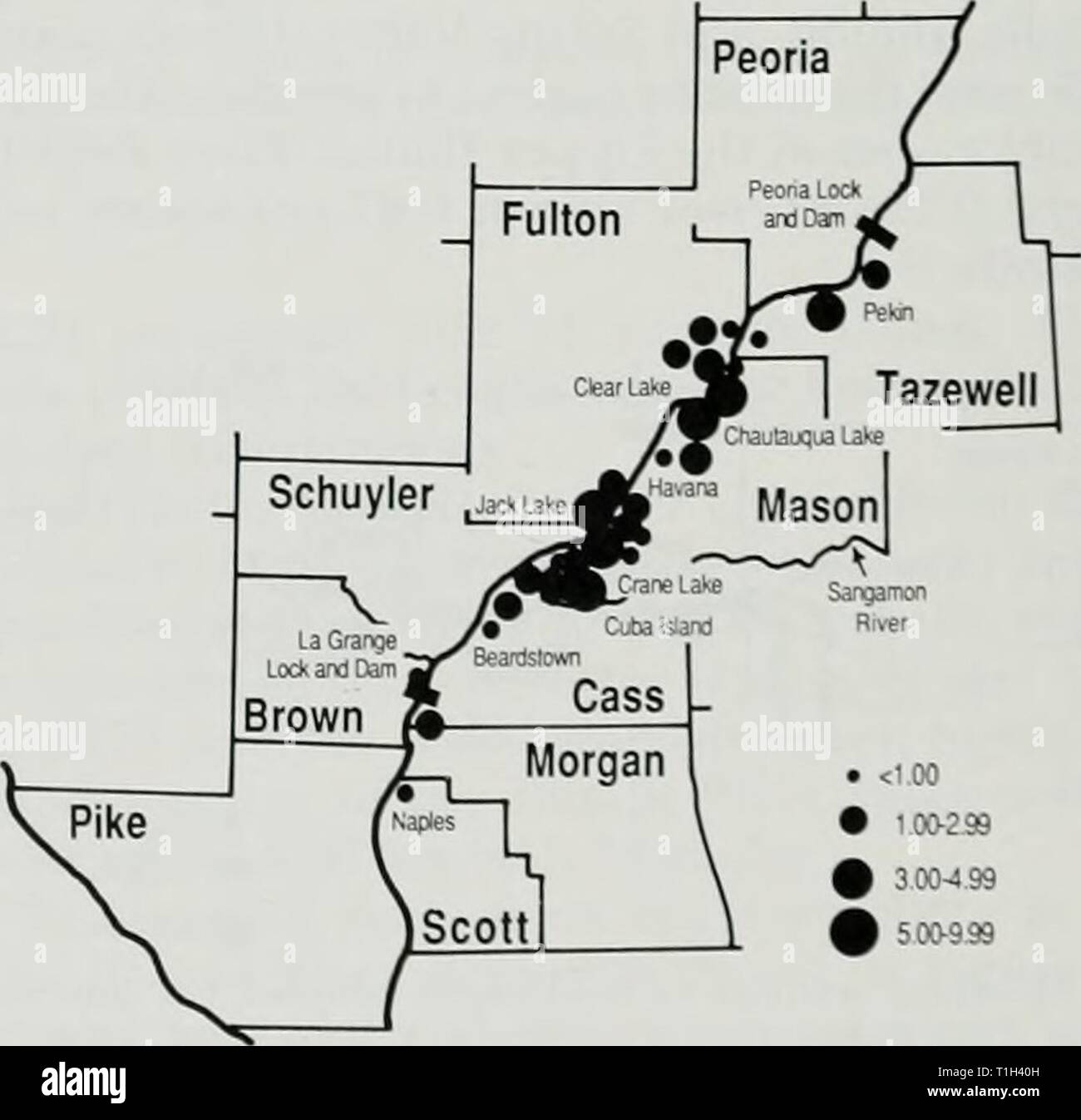 La distribution et l'abondance de la distribution et l'abondance de l'hiver, les populations de pygargues à tête blanche dans la région de Illinois distributionabun129a Année : 1988 Fig. 24.-nombre moyen ol b.iUl eagles j'uilliiii,recensement est inférieure llie Illinois Ri' 299 • innied inenior-99 3,00-4,60 par une er Région. 1972-1986. Fig. 22.-Fastern Senacliw sh, en'ine L.tk La densité estimée de pygargues à tête blanche dans la région de la rivière de l'Illinois inférieur ( en moyenne).5.i par mile river ou 0.49 par squaie mile d'habitats humides. La densité moyenne par scjuare m des zones humides (0,49) dans cette région a été slighth plus élevé que la valeur Banque D'Images
