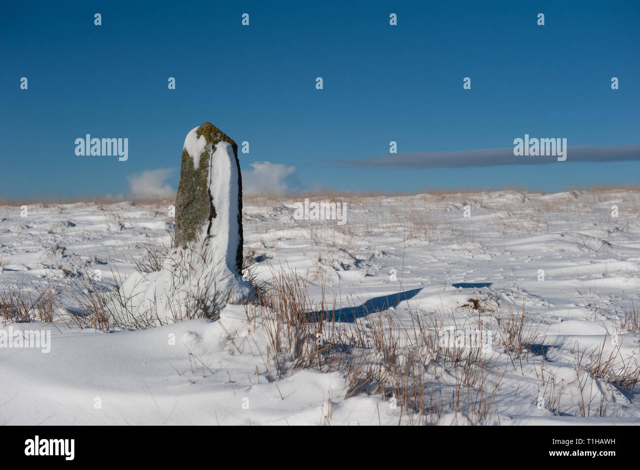 Granit couvertes de neige poster sur landes sous ciel bleu clair avec copie espace Banque D'Images